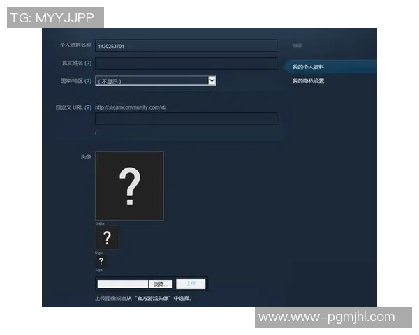 电竞比分王丽深度解析CSGO游戏技巧与心得分享